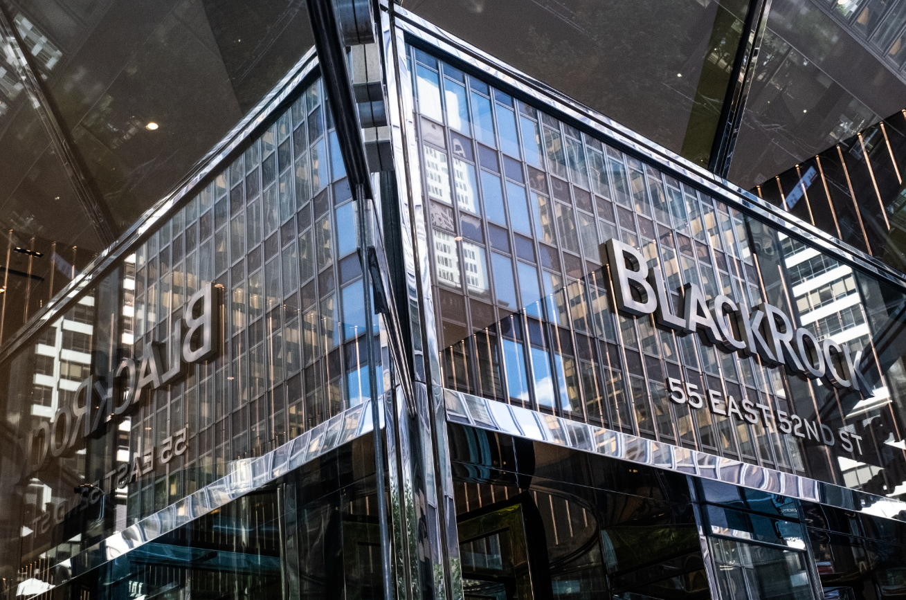 What Does BlackRock Own?